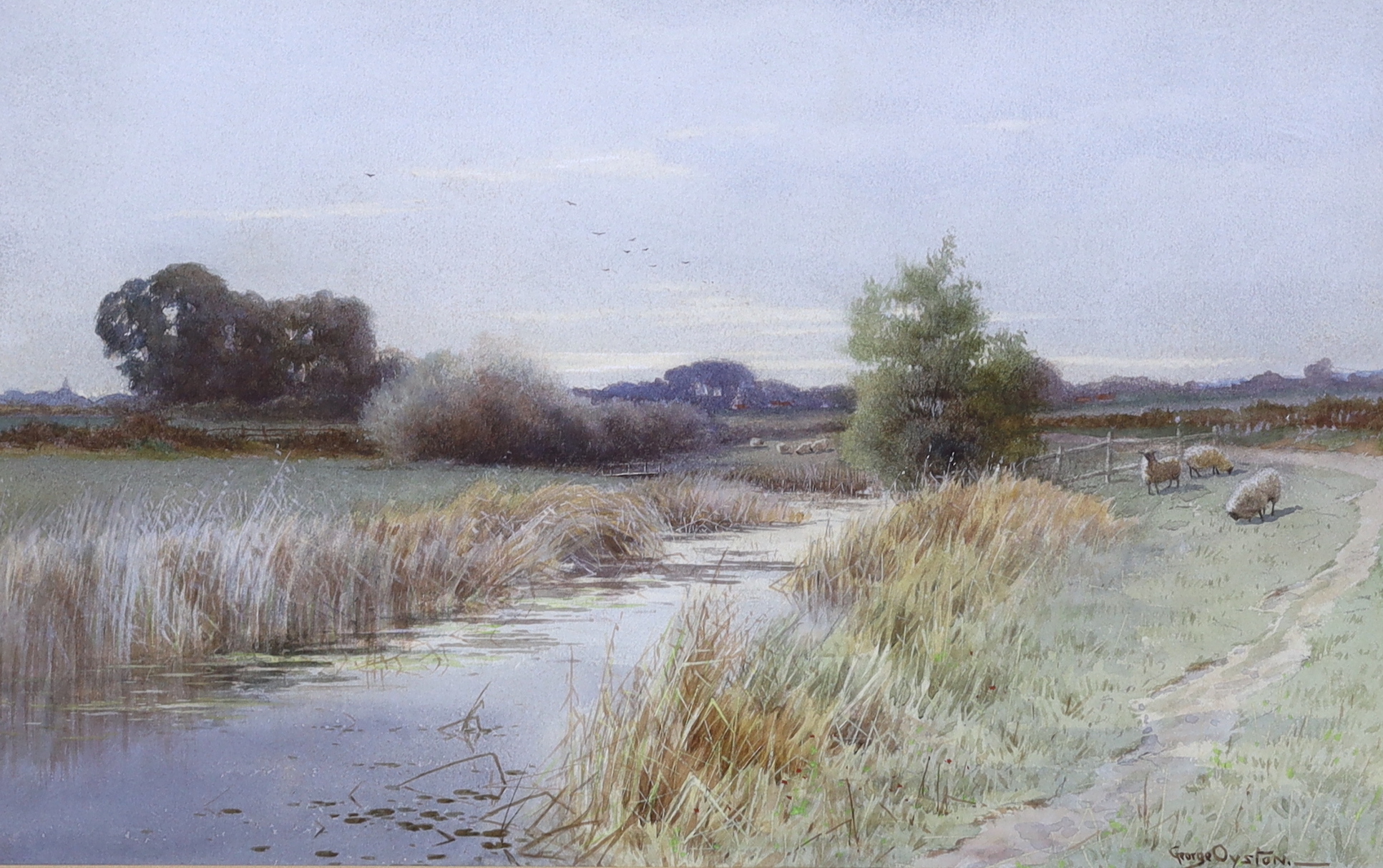 George Oyston (1861-1937), watercolour, Sheep beside a stream, signed, 50 x 30cm